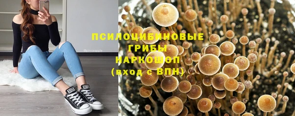 герыч Абаза