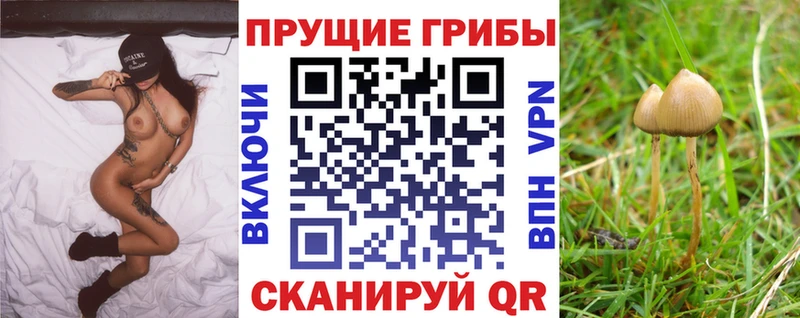 даркнет состав  дарнет шоп  Заволжье  Галлюциногенные грибы GOLDEN TEACHER 